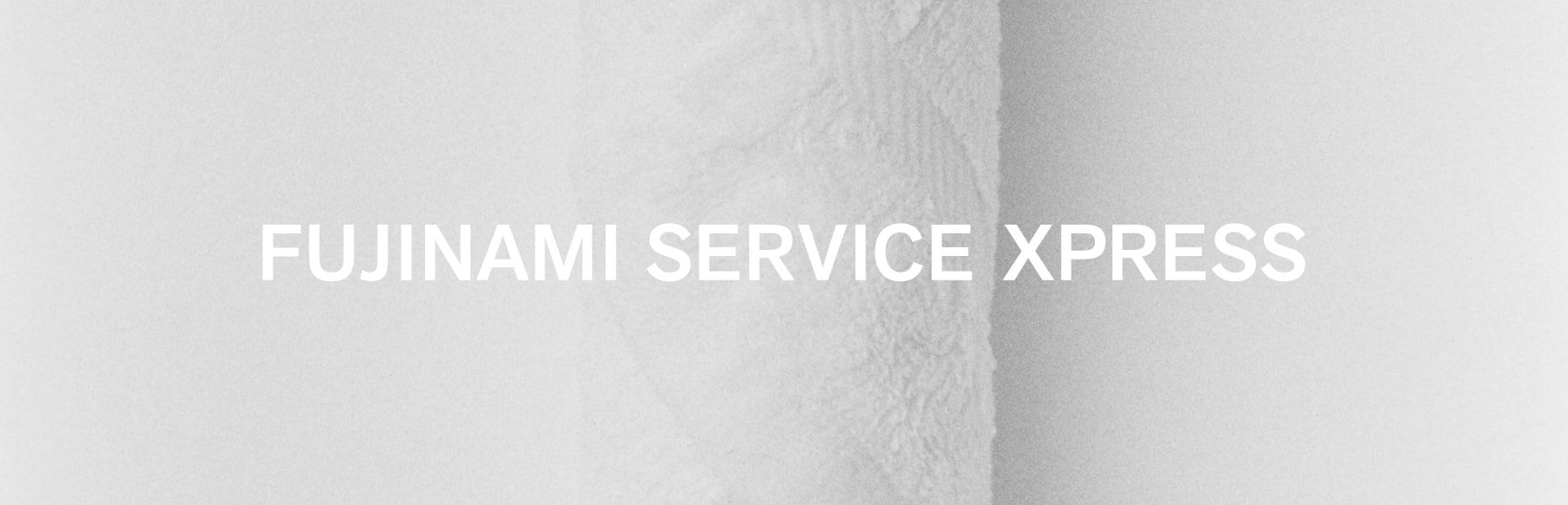 FUJINAMI SERVICE XPRESS
